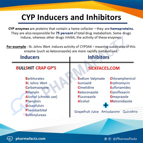cyp inducers mnemonic|Iba pa.